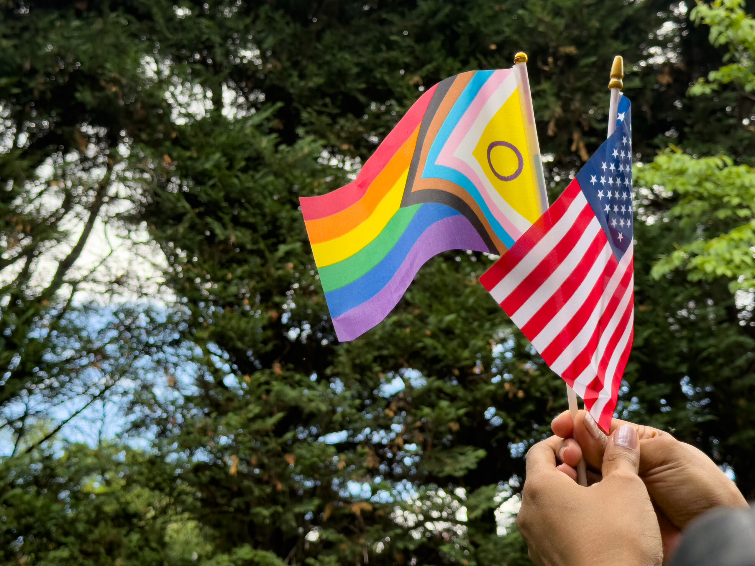 An intersex inclusive progress pride flag and an American flag