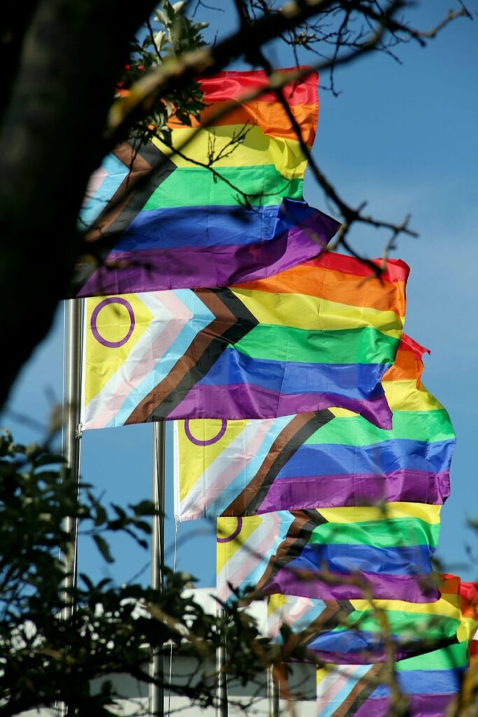 a group of rainbow colored flags blowing in the wind